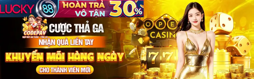 Hoàn trả VWIN